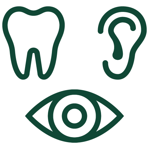 3 outlined green icons of a tooth, an ear, and an eye